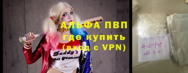 гидра Гусев