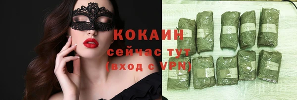 гидра Гусев