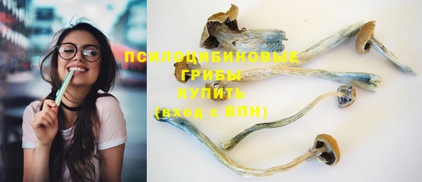 гидра Гусев