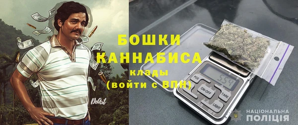 гидра Гусев