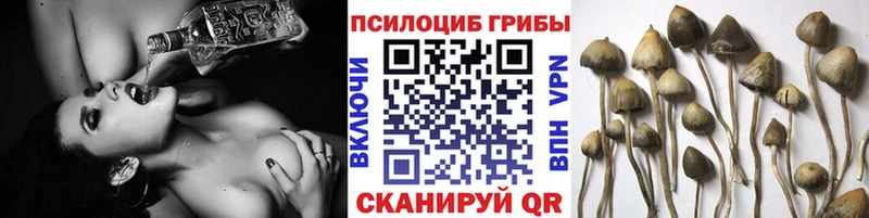 купить   гидра как войти  Галлюциногенные грибы мицелий  Новохопёрск 