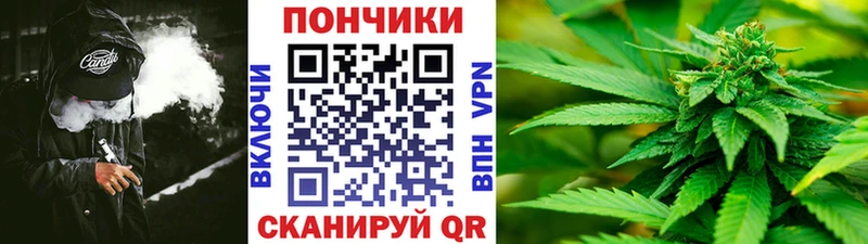 цена KRAKEN сайт Бошки Шишки Bruce Banner Новохопёрск